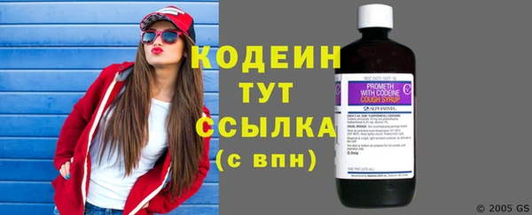 мет Корсаков