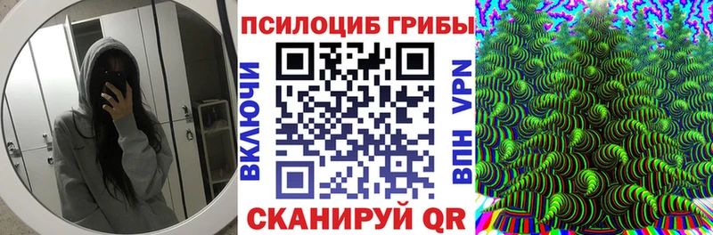 Купить  Елабуга  Псилоцибиновые грибы GOLDEN TEACHER 